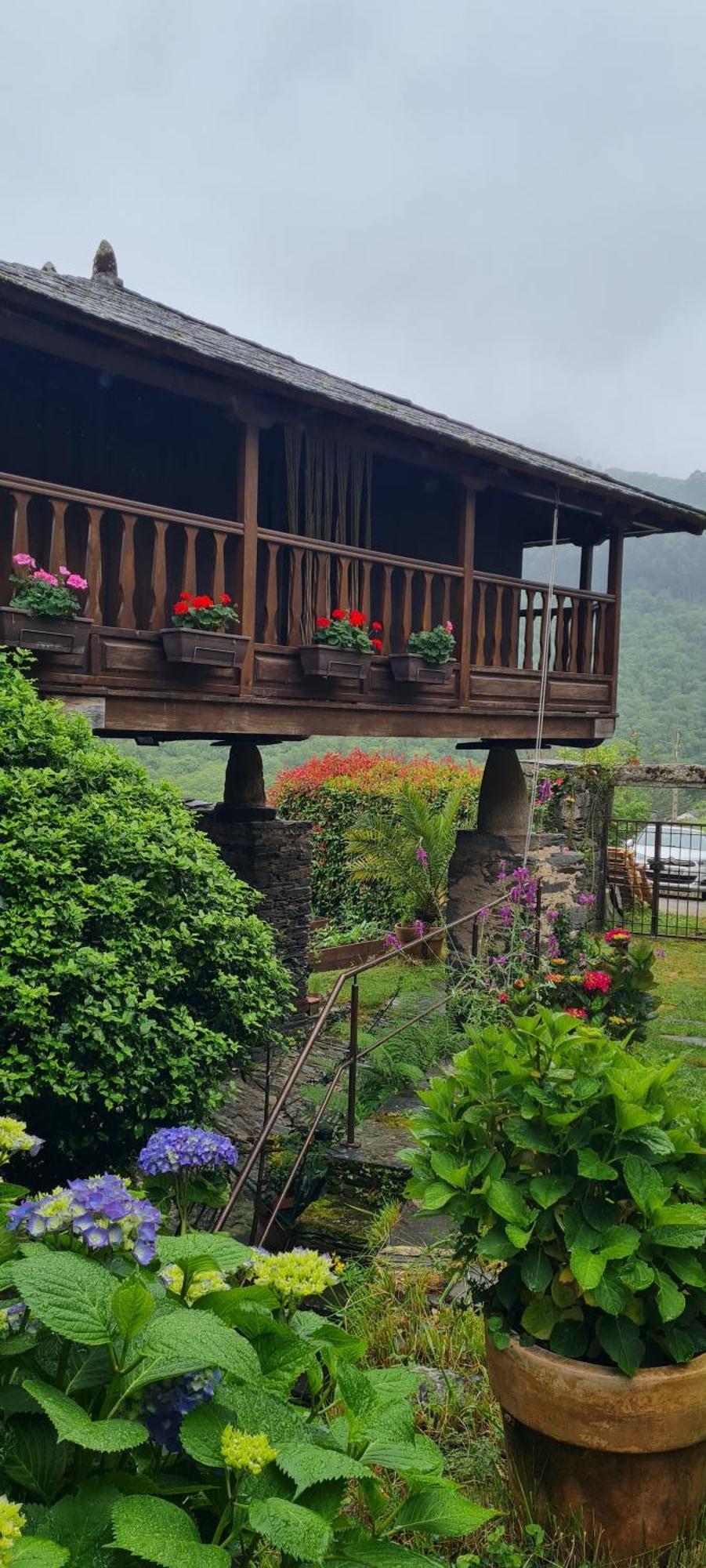Apartamentos Rurales El Bosque De Las Vinas Boal 외부 사진