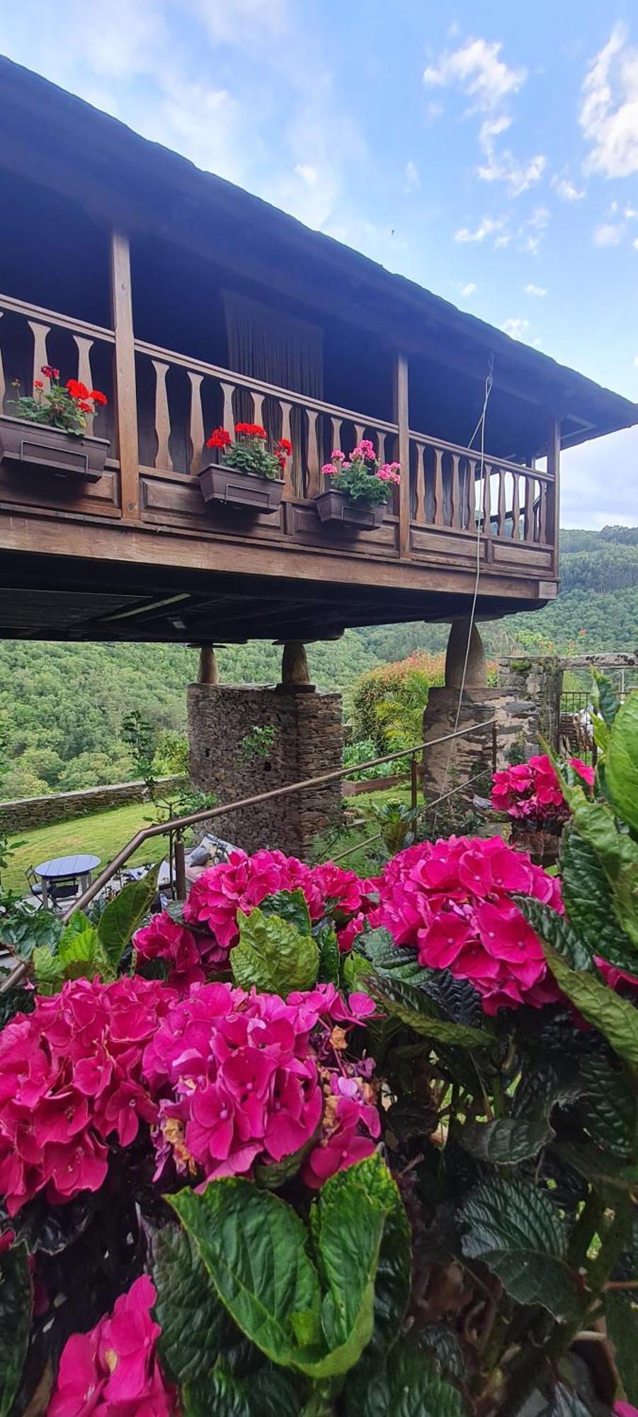 Apartamentos Rurales El Bosque De Las Vinas Boal 외부 사진