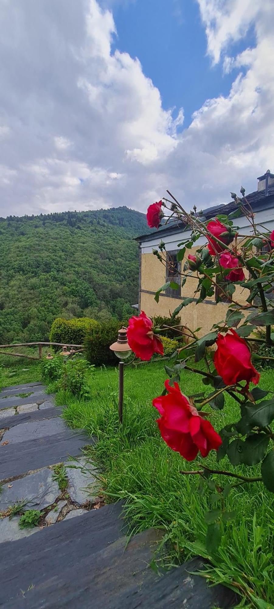 Apartamentos Rurales El Bosque De Las Vinas Boal 외부 사진